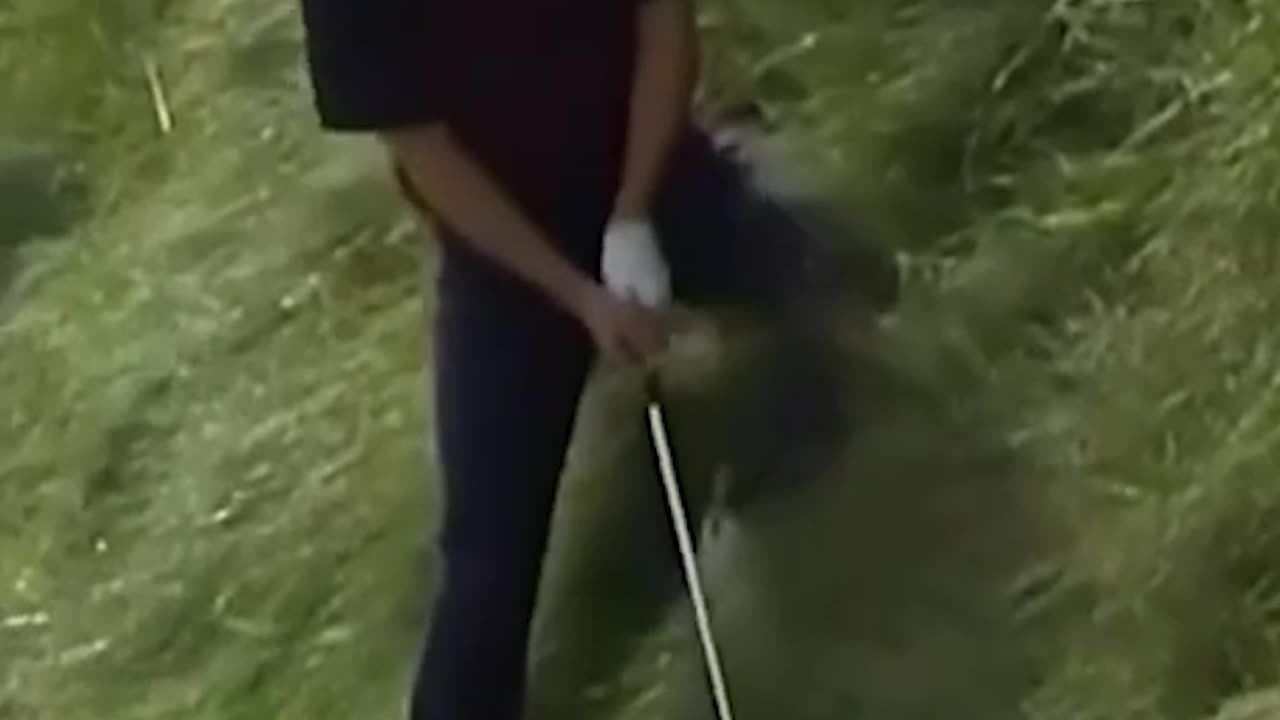 "Bethpage Black: Ryder Cup's Most Dangerous Course ⛳"