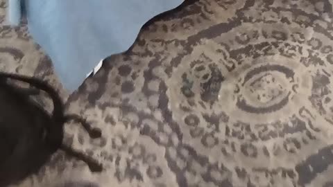 Real prison life isn't what you see on Netflix, Jeff Wiener, Princess, & Richard Suker DEBUNKED! READ DESCRIPTION