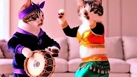Viral: Cute cat dance #cute #cat #dance #fyp #foryou #dance #viral #viralvideo