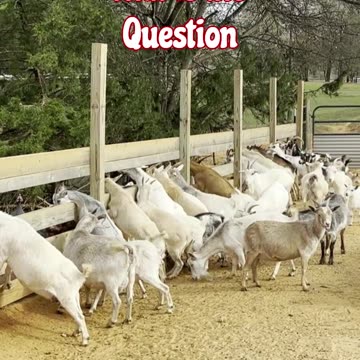 To snack or Not to snack