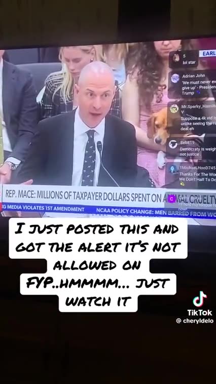 THEY'RE EATING THE DOGS 🙀 THEY'RE EATING THE CATS❗