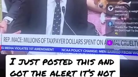 THEY'RE EATING THE DOGS 🙀 THEY'RE EATING THE CATS❗