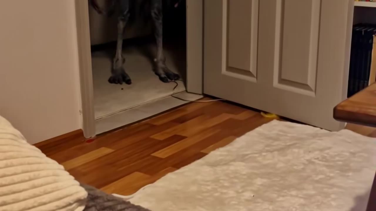 👻🤖 Say Hi to My Haunted Buddy! | TheHauntingHour