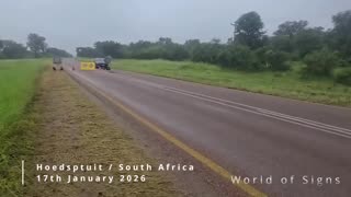 This Is the World Today - Jan. 2026 Pt.7 - Reloaded from World of Signs