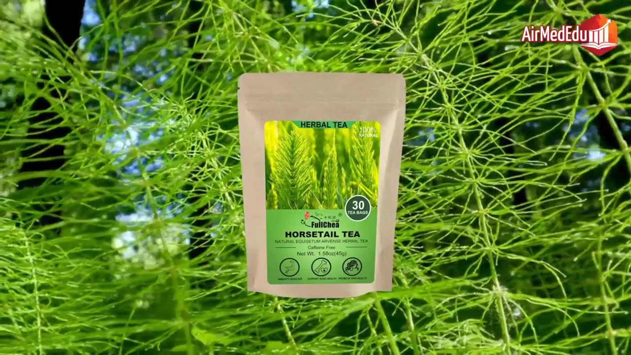45 Benefits of Horsetail Tea