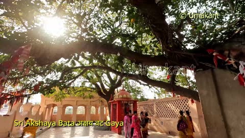 Sri Akshaya Bata अक्षय वट And Maheshwar Mandir-Gaya