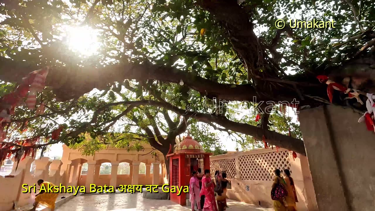 Sri Akshaya Bata अक्षय वट And Maheshwar Mandir-Gaya