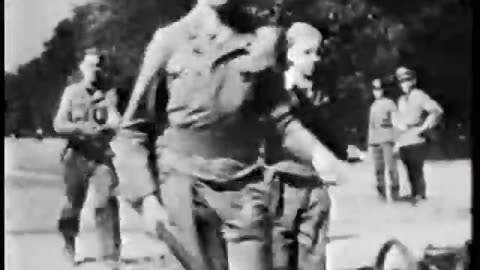 German Newsreel 690 - November 24, 1943