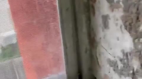phone bugged