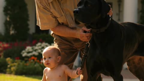 🤣 Grandpa Forgot His Wallet! 👶🐶 Baby Left Holding HUGE Dog “Tiny” 😂 #ComedyGold