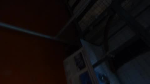 The Wendi primate bnkywuv creature goes on exhibit!