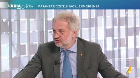 Claudio Borghi Aquilini Tema sicurezza 15-01-2026