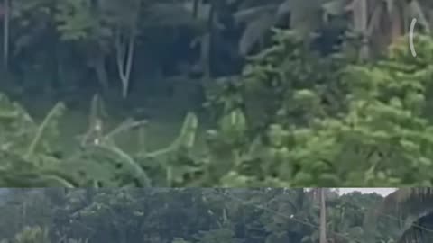 🔥👽 Unbelievable Fire Anomaly Captured on Camera! | TheTruthAbove