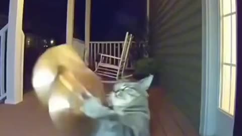 I Am PRO AI 🤣🤖