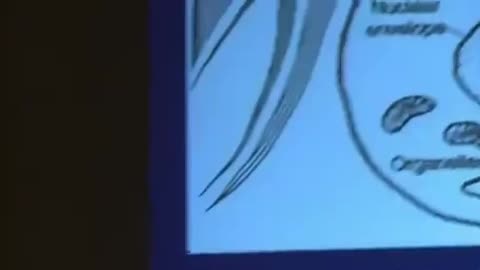 You’ve all heard about the Matrix..But have you heard about the Living Matrix?