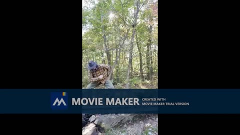 Mark M. Rich on Psychopathy, Surveillance & Entertainment