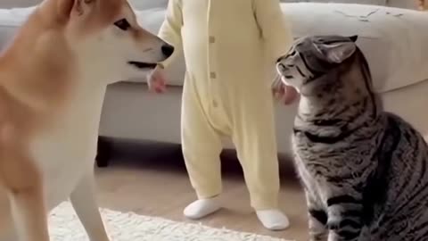 Cute Baby Playing With Animals | Adorable Baby & Pets Moments | Funny Animal Reactions”