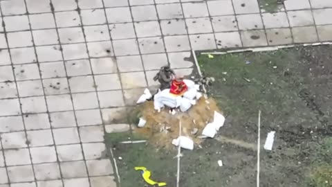 🇷🇺🏹🎖️ Huliaipole Now