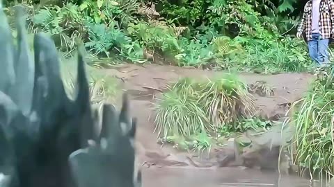 The Lake Monster Attacks Tourists #short #monsterhunter #monster