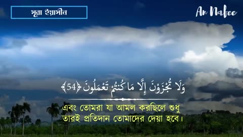 Surah Yasin