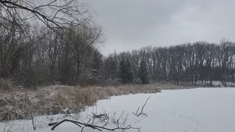 Ice Covered Neighborhood Pond in Southeast Michigan