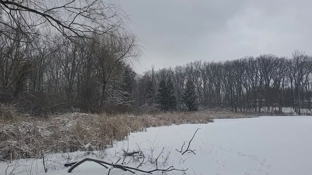 Ice Covered Neighborhood Pond in Southeast Michigan