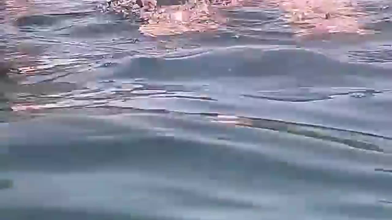 Swimming with fish - Travellers (youtube)