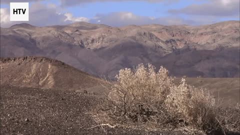 The Hunt Begins: Tracking the Target