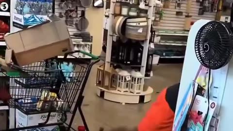 Another Store Crash Out