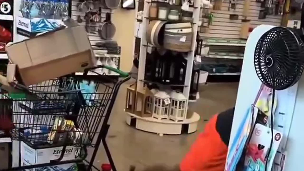 Another Store Crash Out