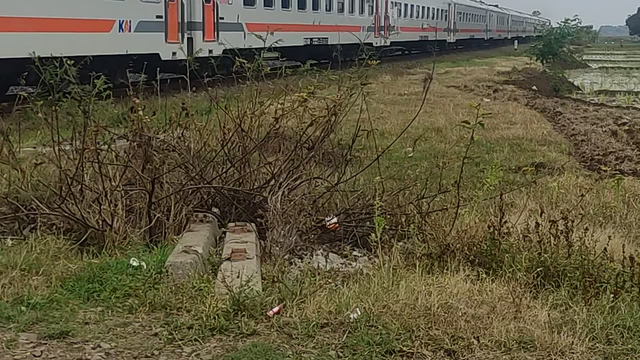 Kereta api