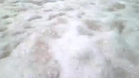Filming the beach up close, the sea and waves were agitated [Nature & Animals]