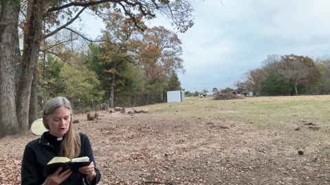 Morning Prayer,Daily Office