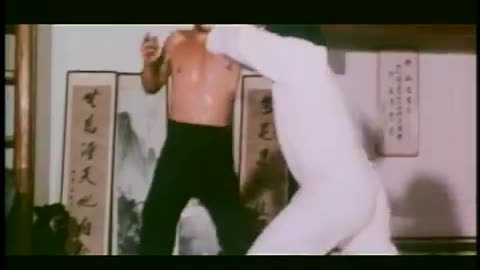 The Real Bruce Lee.