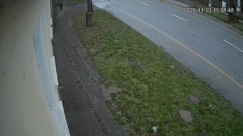 A törvények felett ,nem, állók kutyája kóborol az utcán, mert a haverok a hivatalokban elnézik!!