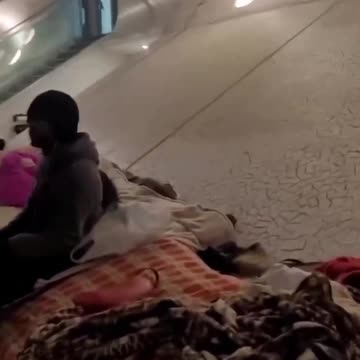 The Portuguese police are not joking.