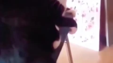Funny pets moments