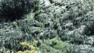 🛸🇺🇦 Ukraine Russia War | Ukrainian UAS Battalion Ambush in Sumy | RCF