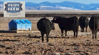 Trent Loos in the Morning - 10/31/2025