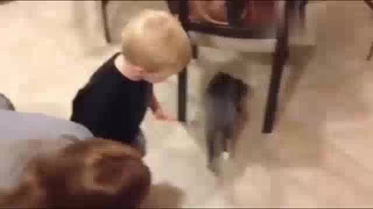 30 Minutes of Cutest Baby and Dog Friendships Ever! 🐶👶❤️