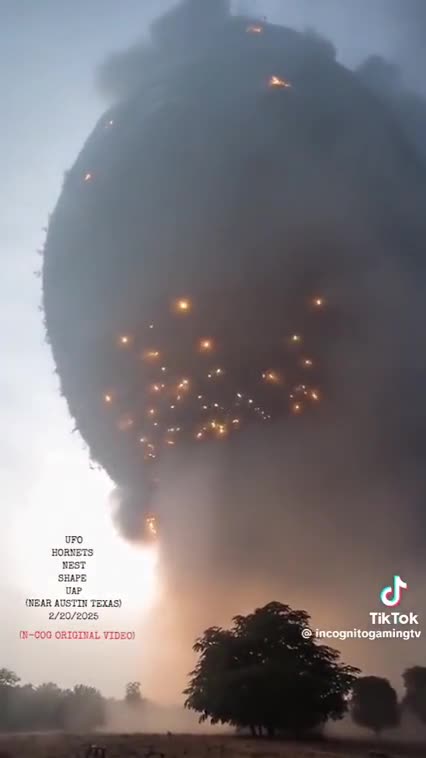 MOVE ALONG 🛸 NOTHING TO SEE HERE