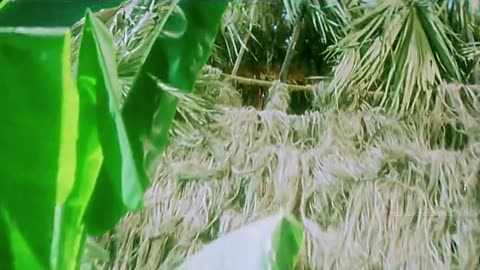 manasemo FULL VIDEO 4K ULTRAHD 5.1 DOLBY AUDIO _ YUVARAJU .