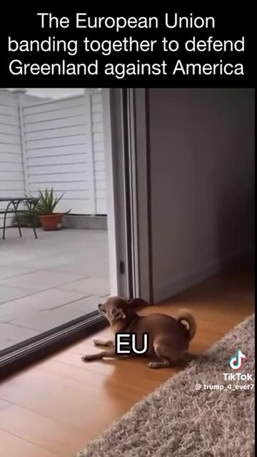 TRUMP VS EU 😂