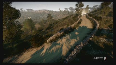 WRC9 (Ps5) Race21