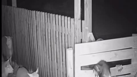 🤖👻 You Won't Believe This AI-Generated Ghost! Looks Real... Or Is It? | TheHauntingHour