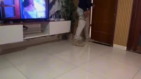 Policial multa sua própria esposa por não está usando cinto de segurança