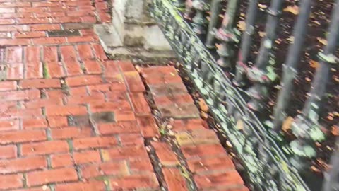 #Boston #autumnvibes 2025