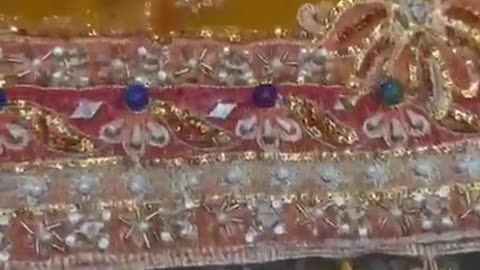 Shagun By Gisele Net Embroidered