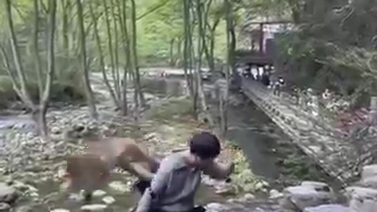 Funny monkey 🙉 #funny #monkey #funnyanimls #monkeyvideo #funnyanimlas