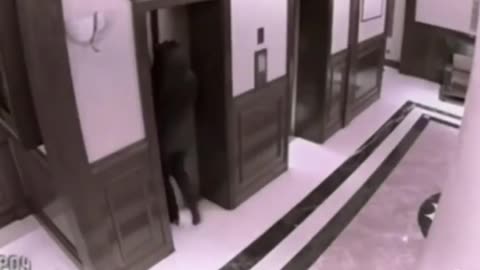 The Truth Behind Your Blind Spots